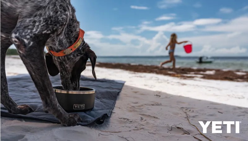 YETI Boomer 8 Dog Bowl Seafoam-5